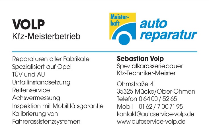 auto-service-volp Logo